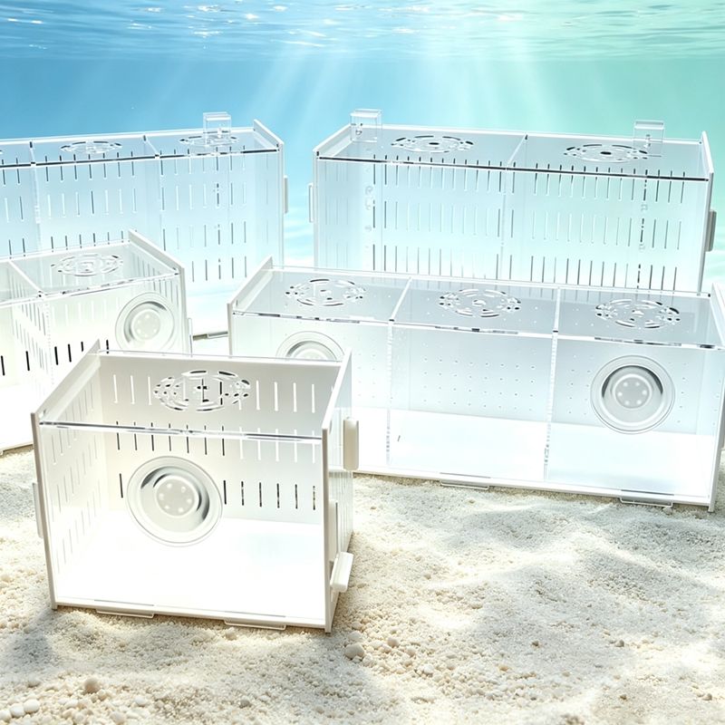 Aquarium Fish Parrot - 隔離水槽用セパレーター（蓋付き）多機能水槽インキュベーター、エビやインコの繁殖・育成用ナーサリーボックス