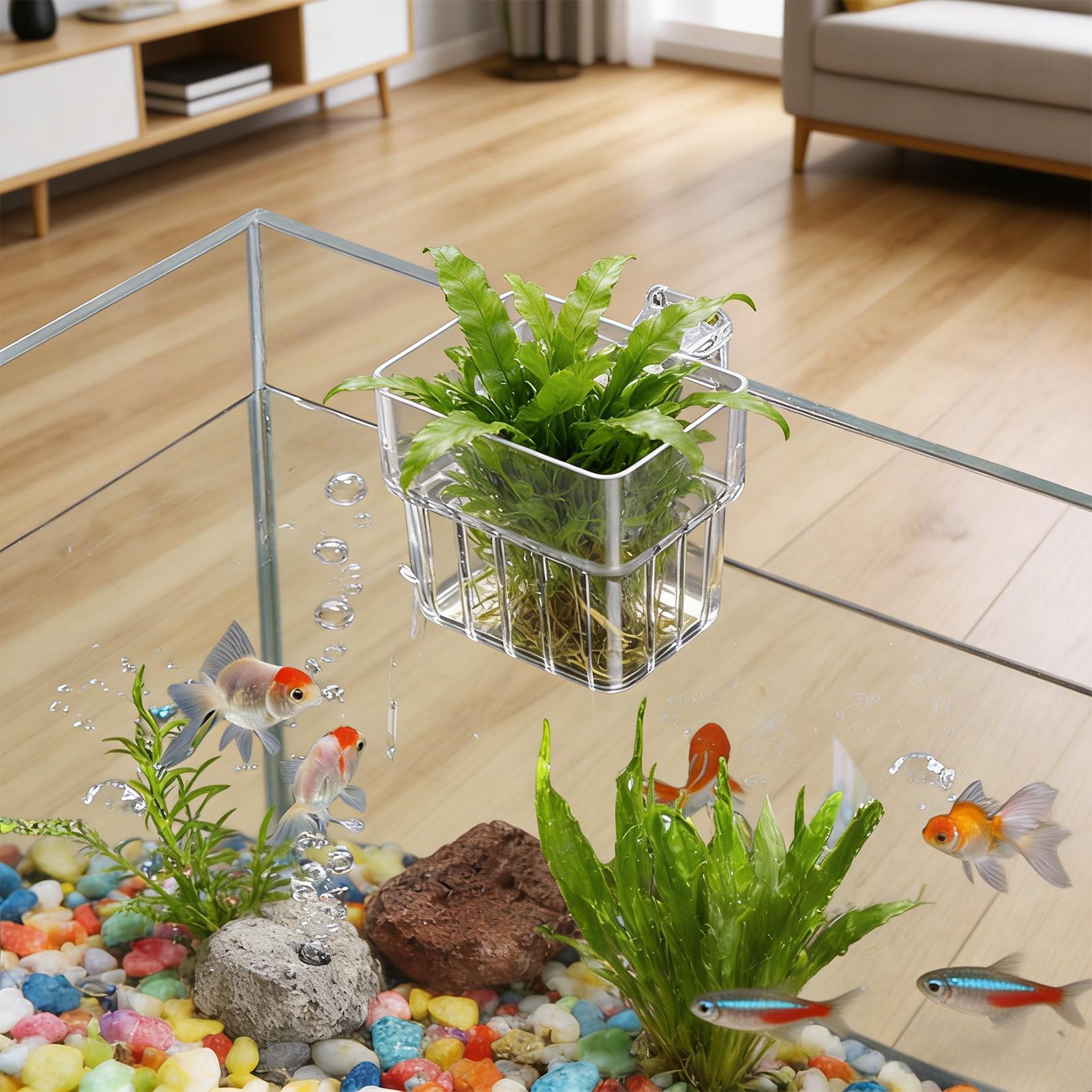 Aquarium Fish Names - 透明な吊り下げ式水槽植物ホルダーポット、水槽水耕栽培システム、屋内職場装飾、栽培装飾用