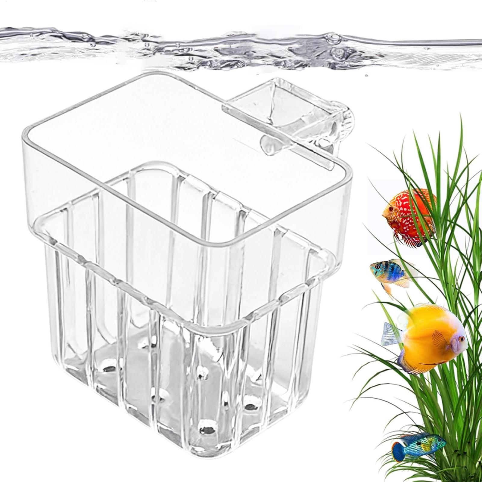 透明な吊り下げ式水槽用植物ホルダーポット、水槽水耕栽培システ - Aquarium Fish Names のレビューと価格