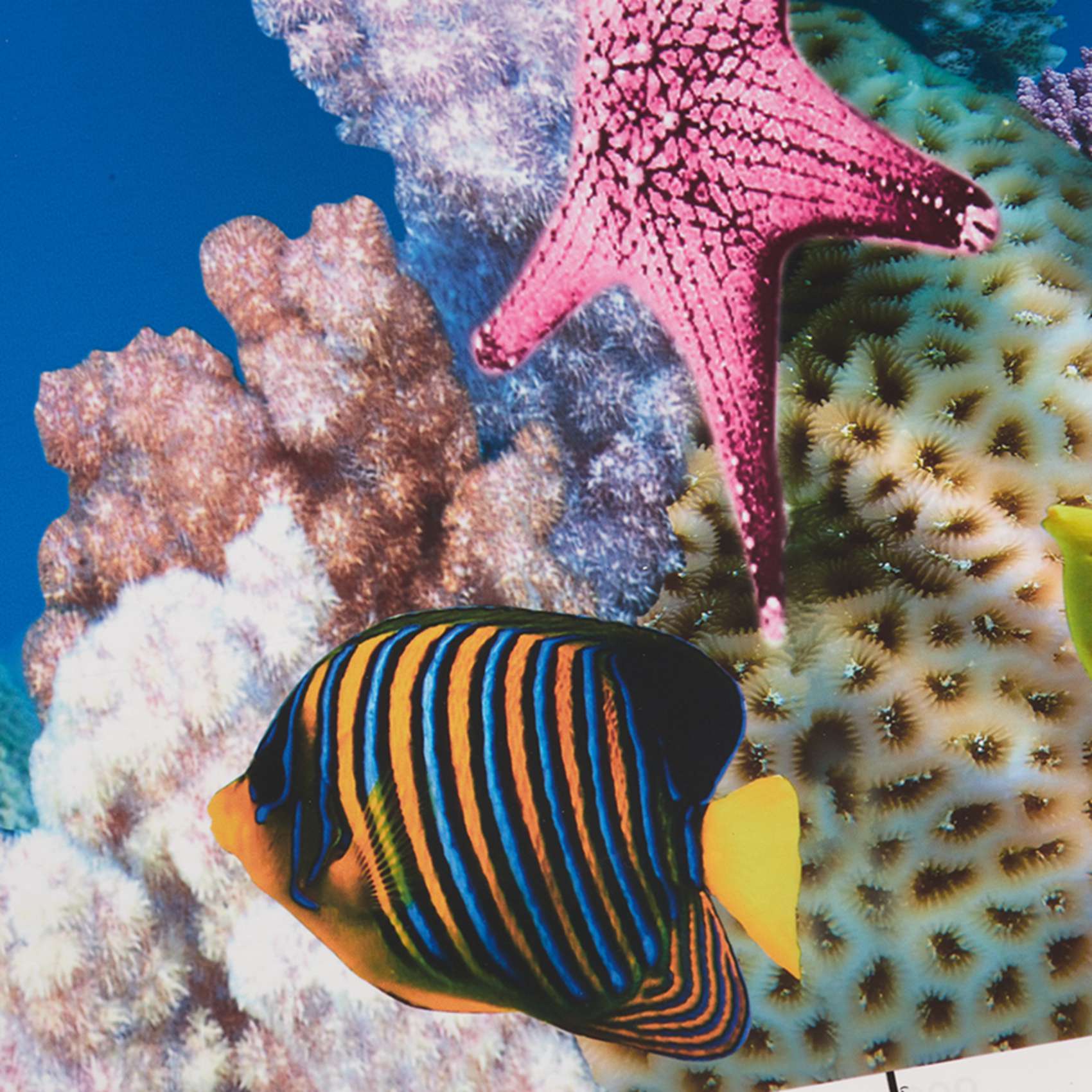 AB33-水族館背景紙 HD画像 7D立体水槽壁紙背景画両面 - Aquarium Fish Wallpaper Hd のレビューと価格