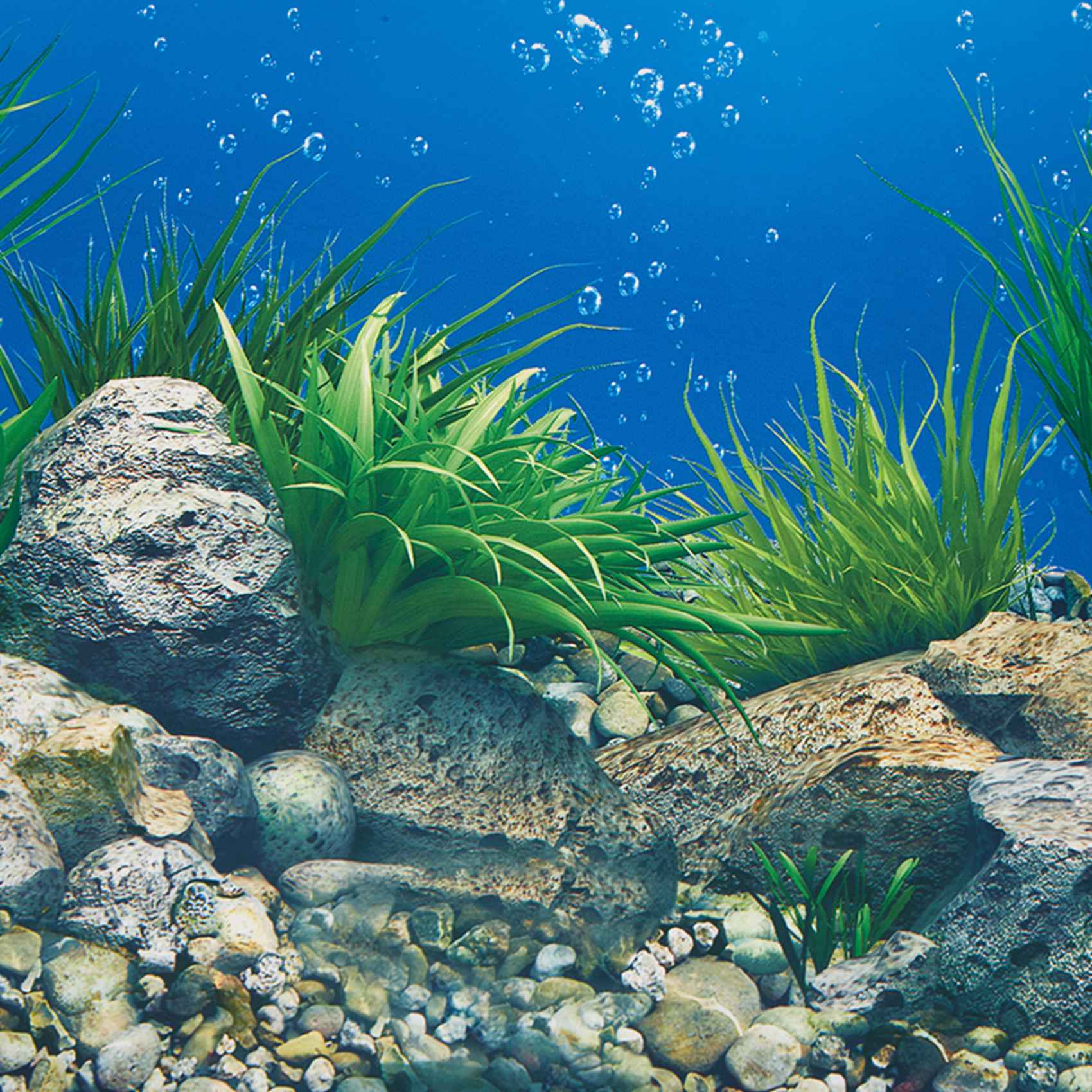 ABWR-水族館背景紙 HD画像 7D立体水槽壁紙背景画 両 - Aquarium Fish Wallpaper Hd のレビューと価格