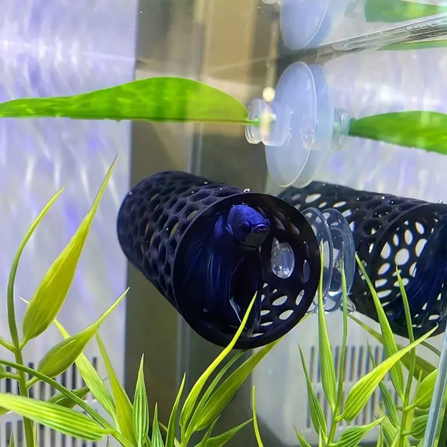 水槽の魚の隠れ家 ベタや小さな水槽の装飾用の吸盤付き黒い中空 - Aquarium Fish Games のレビューと価格