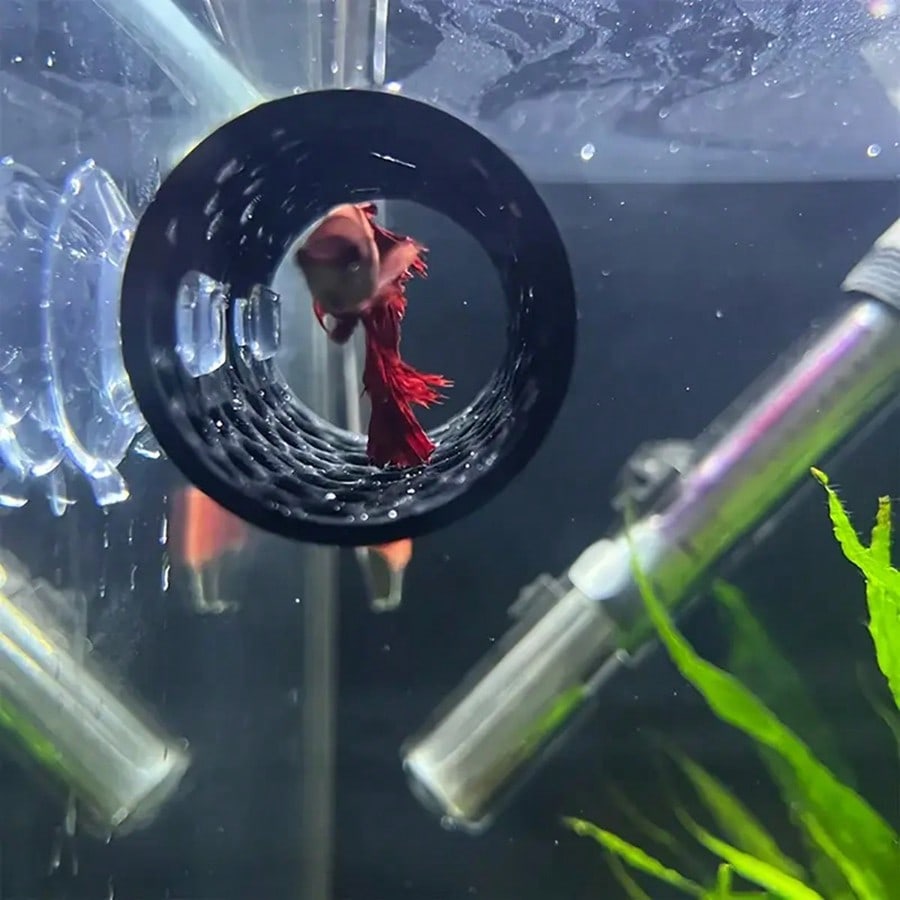 水槽の魚の隠れ家 ベタや小さな水槽の装飾用の吸盤付き黒い中空 - Aquarium Fish Games のレビューと価格