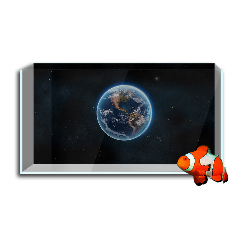 水槽の背景ステッカー,地球の地球の惑星のHD印刷の壁紙,背景 - Aquarium Fish Wallpaper Hd のレビューと価格