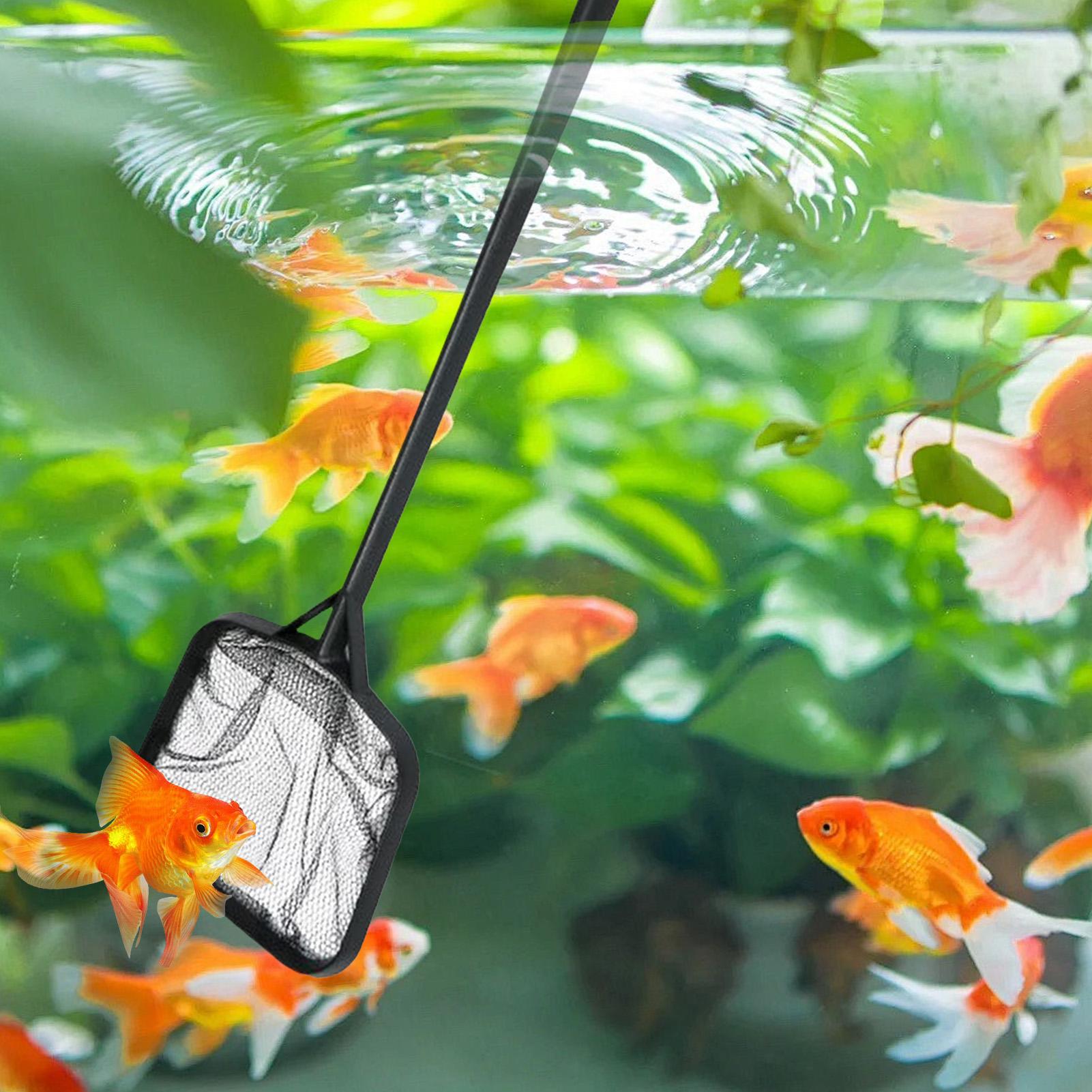 プールネット 清掃用 ポータブルプールストレーナーネット 噴 - Aquarium Fishing のレビューと価格