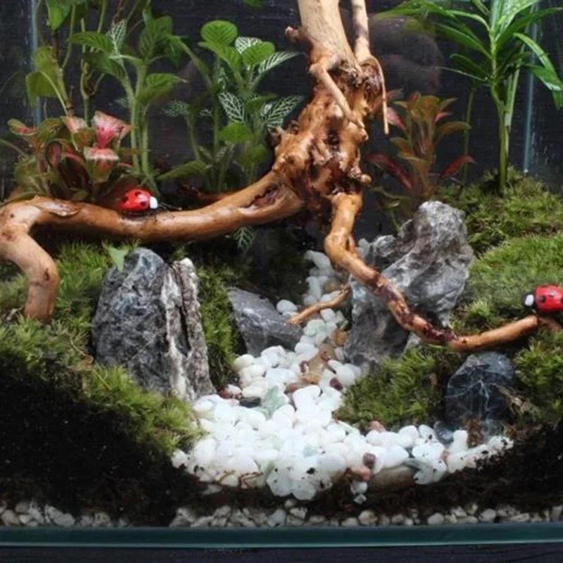 水族館、魚のタンク、爬虫類の根の植物、木の装飾、装飾アクセサ - Aquarium Fish Games のレビューと価格