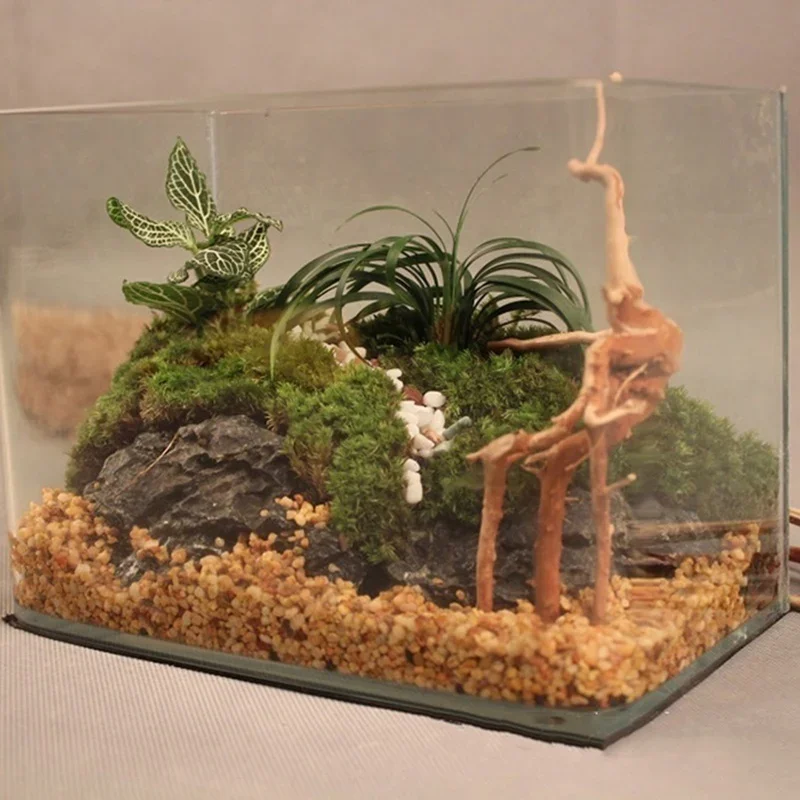 水族館、魚のタンク、爬虫類の根の植物、木の装飾、装飾アクセサ - Aquarium Fish Games のレビューと価格