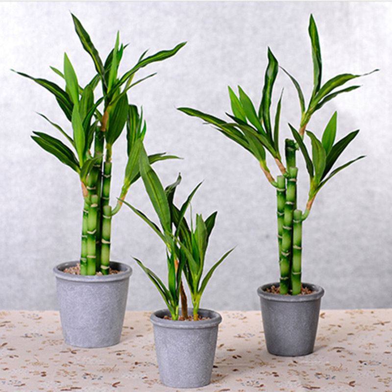 新しい40cm人工ラッキーバンブー多肉植物フェイクプラントフ - Aquarium Fish Names のレビューと価格