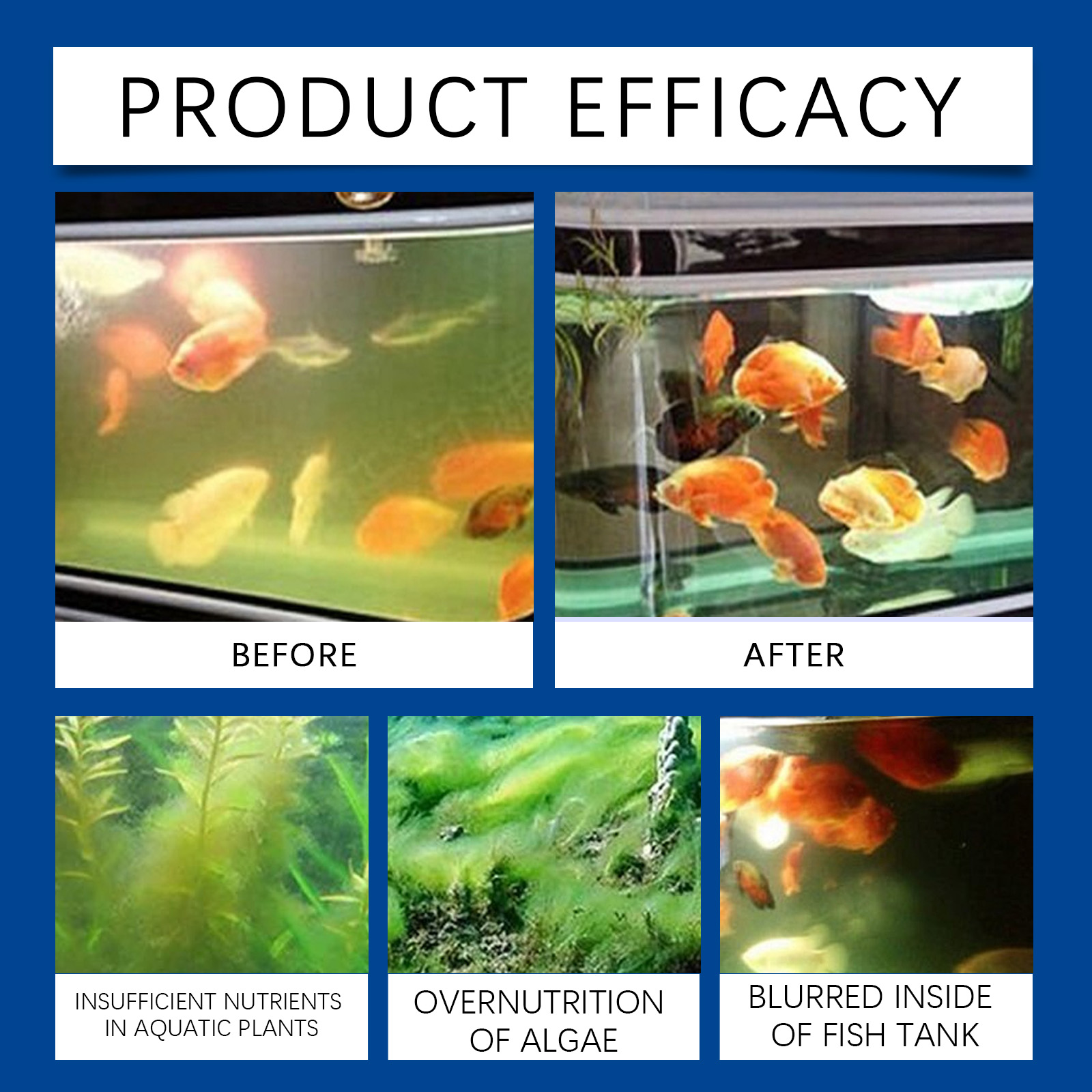 水族館の水精製器 100 ミリリットル淡水海水水槽クリーナー - Aquarium Fishing のレビューと価格