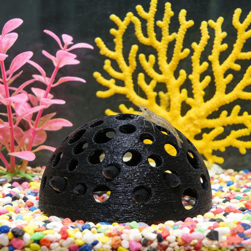 水槽用隠れ洞窟シェルター 小魚や繁殖休憩用の地下洞窟 水槽の - Aquarium Fish Games のレビューと価格