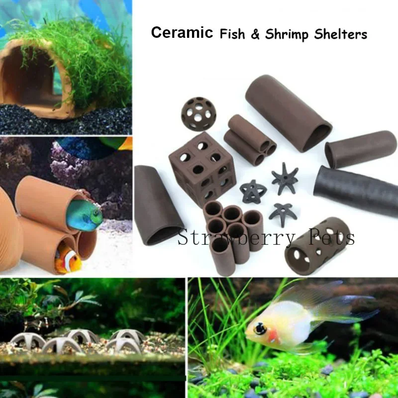 セラミック水族館の装飾魚エビシェルターハウス陶器サソリハウス - Aquarium Fish Games のレビューと価格