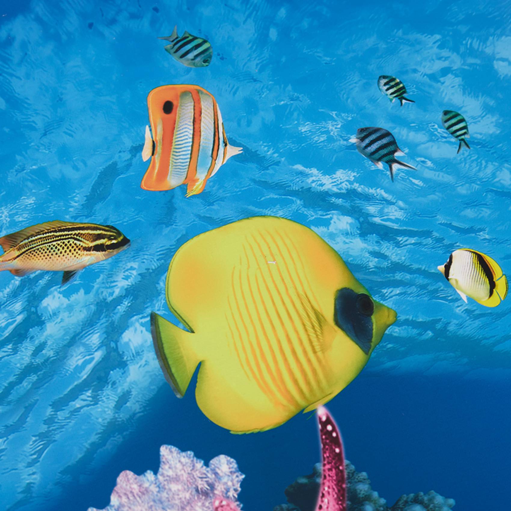 BAAU 水槽背景紙 HD画像 7D 立体水槽壁紙 背景画  - Aquarium Fish Wallpaper Hd のレビューと価格