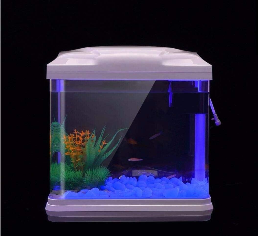 水槽岩グローブルー小石庭用水槽水族館植木鉢盆栽歩道私道 - Aquarium Fishing のレビューと価格