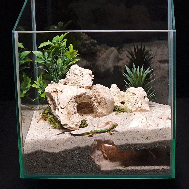 3Dプリント製水槽トンネルシェルター水槽装飾爬虫類隠れ家洞窟 - Aquarium Fish Games のレビューと価格