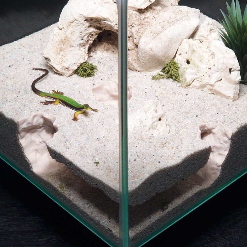 3Dプリント製水槽トンネルシェルター水槽装飾爬虫類隠れ家洞窟 - Aquarium Fish Games のレビューと価格