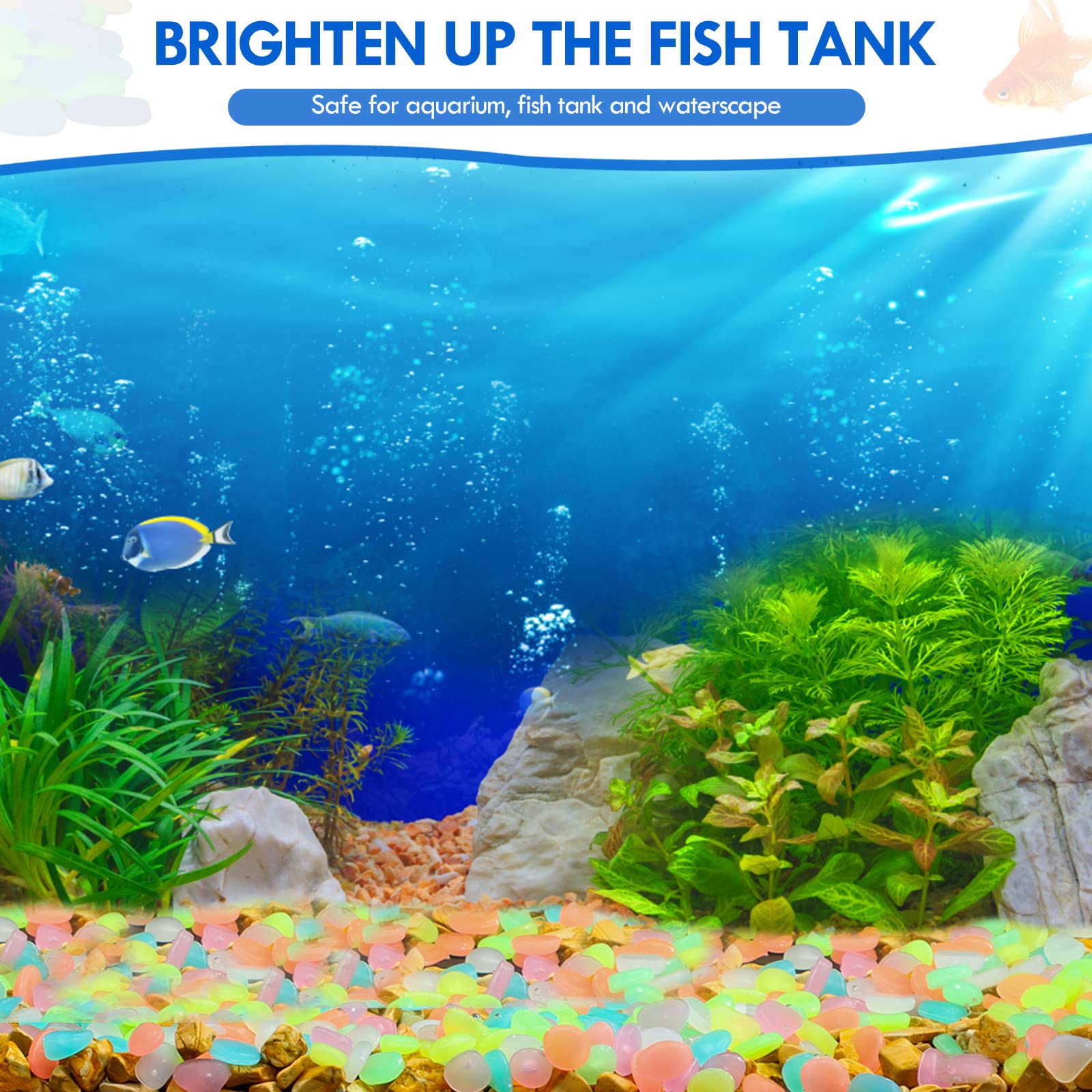 100 個暗闇で光る庭の小石歩道ガーデンテラス芝生庭パティオ - Aquarium Fishing のレビューと価格