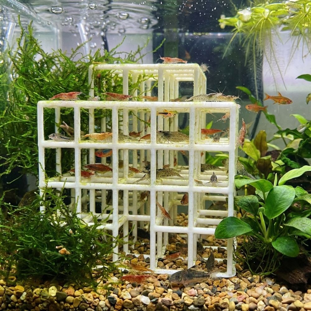 3Dプリント製魚エビ隠れ家シェルター プラスチック製中空エビ - Aquarium Fish Games のレビューと価格