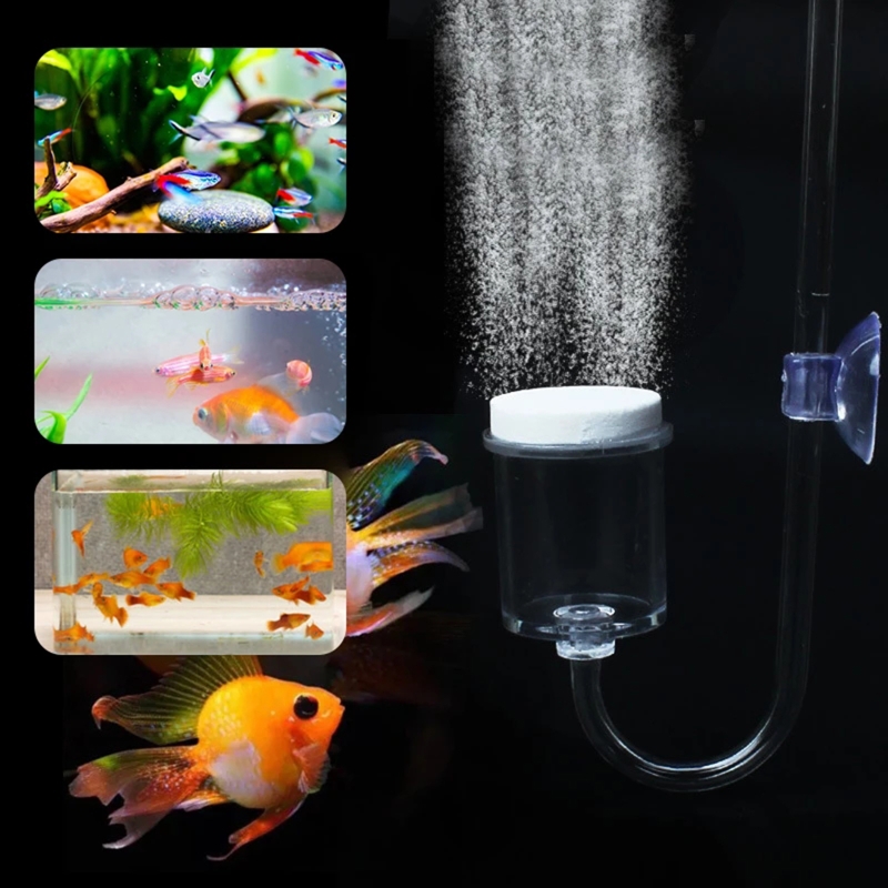 水族館用CO2ディフューザー,日曜大工のガラスタンク,バブル - Live Fish Aquarium のレビューと価格