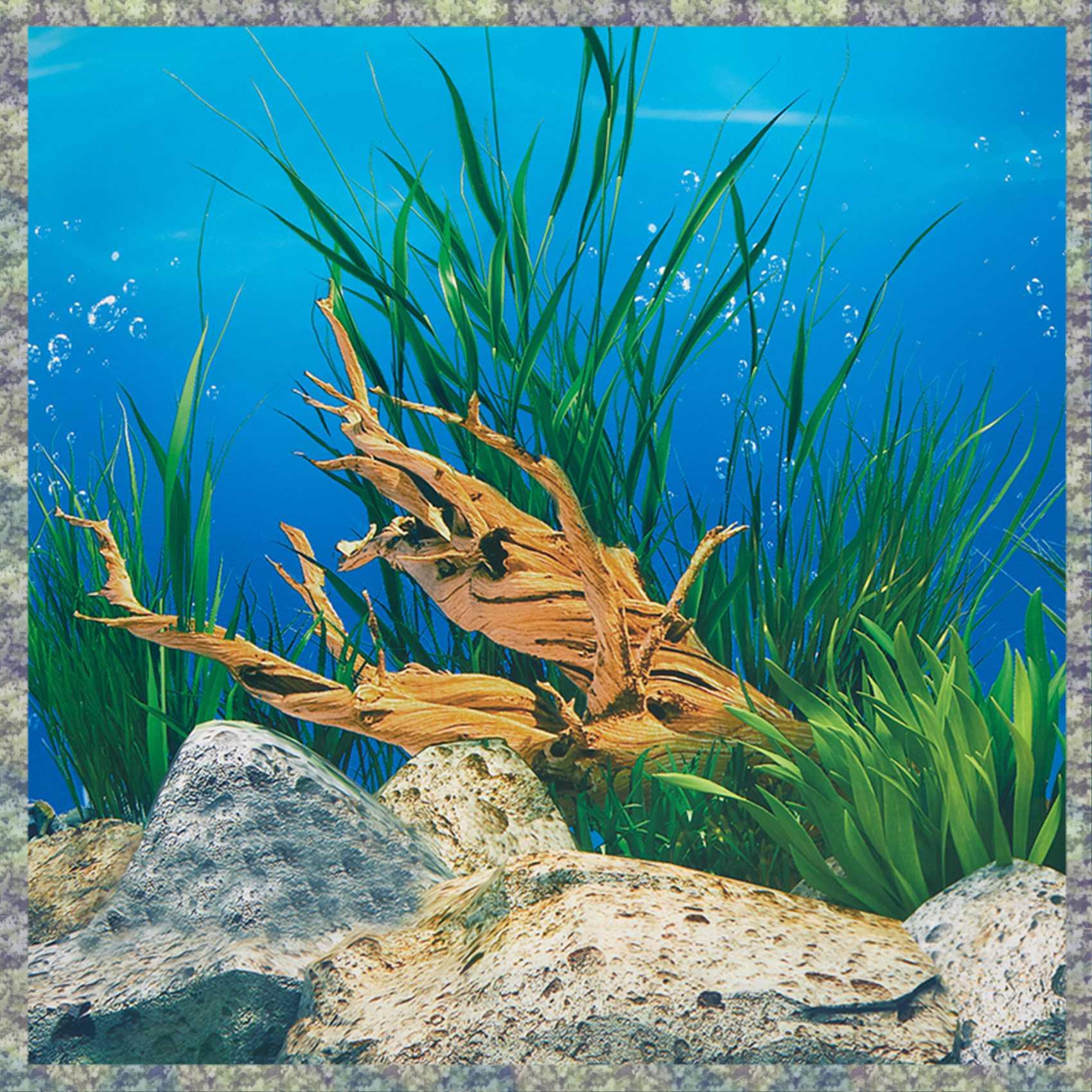 WON 水族館の背景紙 HD 画像 7D 立体水槽壁紙背景絵 - Aquarium Fish Wallpaper Hd のレビューと価格