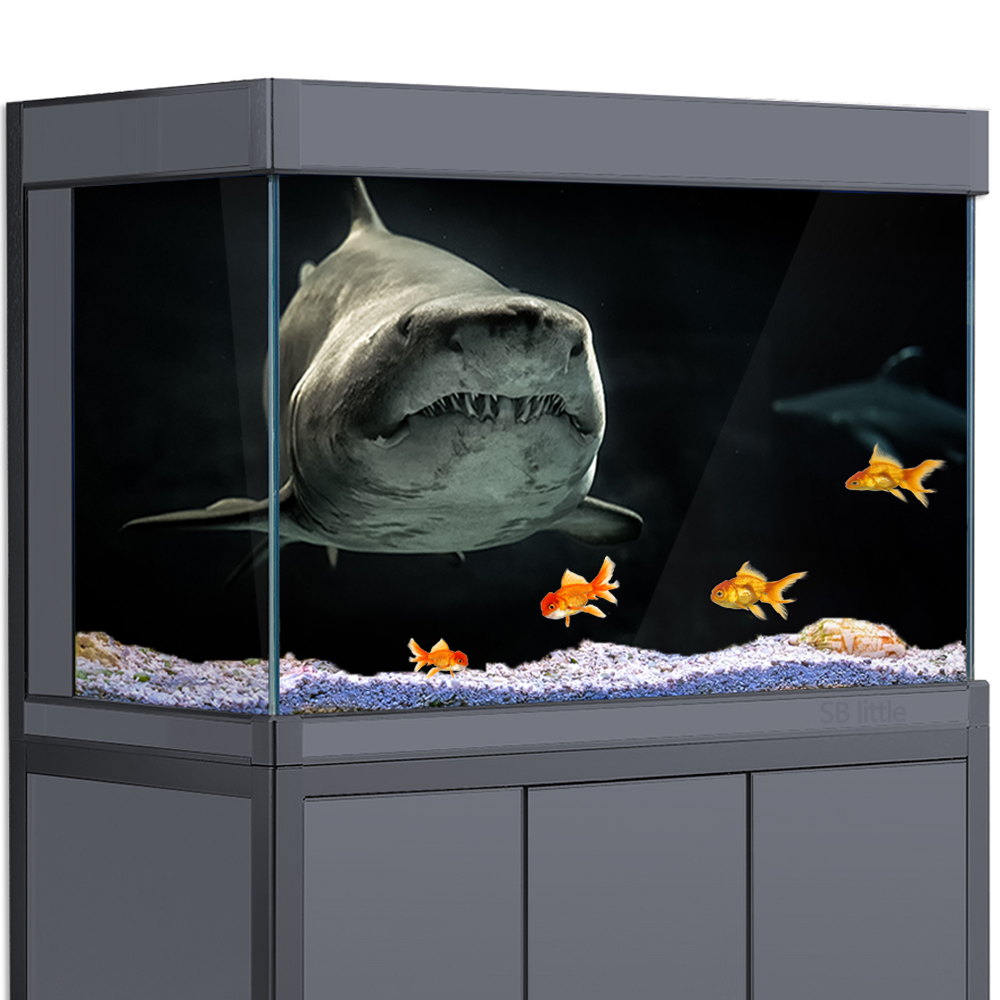 水族館の背景 3D サメ黒暗い海水中 HD 印刷壁紙水槽爬虫 - Aquarium Fish Wallpaper Hd のレビューと価格