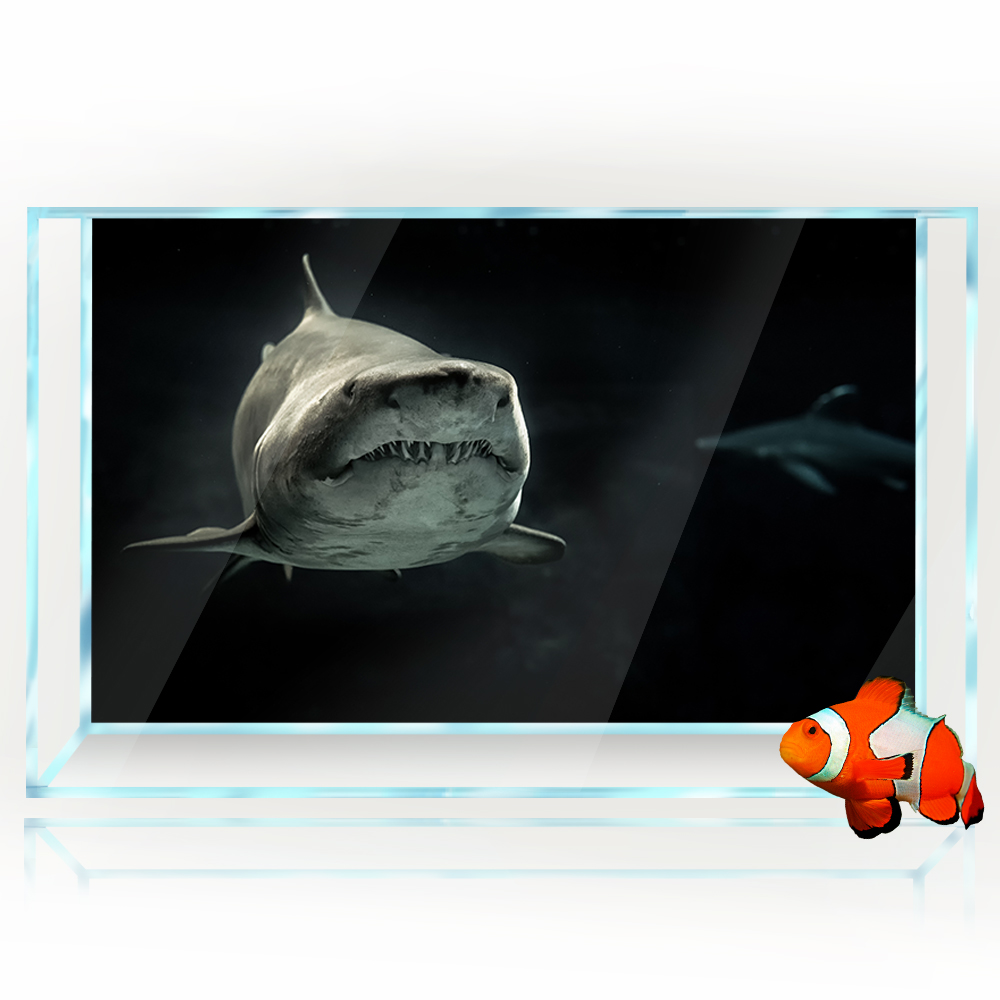 水族館の背景 3D サメ黒暗い海水中 HD 印刷壁紙水槽爬虫 - Aquarium Fish Wallpaper Hd のレビューと価格